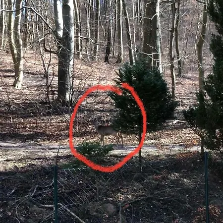 Apartamento Moewenblick *