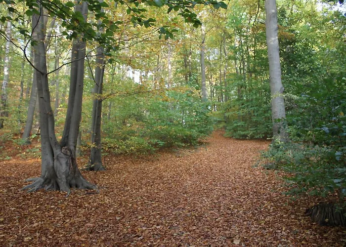 Moewenblick Appartement *