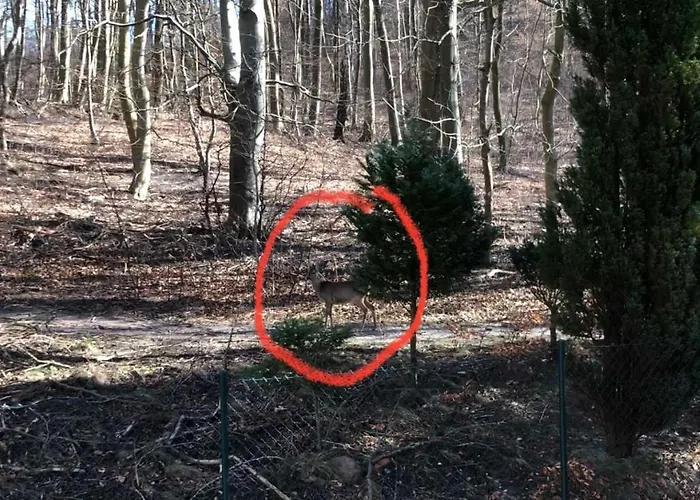 Appartement Moewenblick *